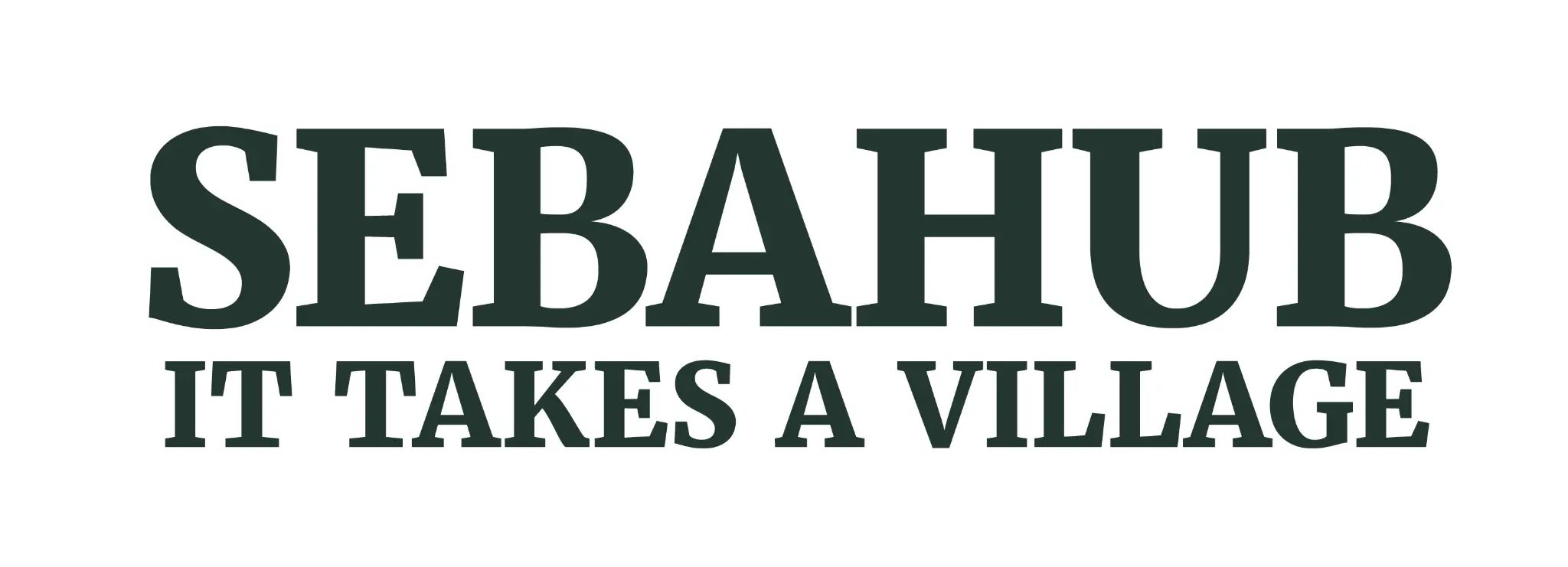 SebaHub — It Takes a Village